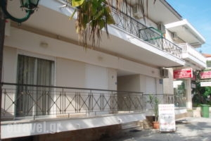 Phaethon_holidays_in_Apartment_Macedonia_Halkidiki_Kallithea