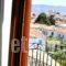 Filoxenia Studios_lowest prices_in_Hotel_Central Greece_Fokida_Galaxidi