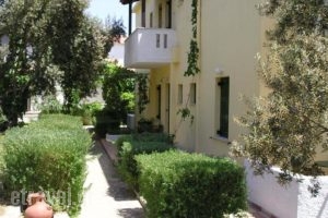 Studio Popi_best deals_Hotel_Aegean Islands_Samos_Marathokambos