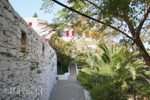 Studios Anna_lowest prices_in_Room_Cyclades Islands_Amorgos_Katapola