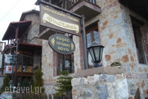 Filoxenia 1_accommodation_in_Hotel_Macedonia_Pella_Agios Athanasios