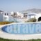 Naxoslace Hotel_holidays_in_Hotel_Cyclades Islands_Naxos_Naxos chora