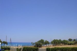 Niriides Apartments_best deals_Apartment_Peloponesse_Messinia_Kalo Nero