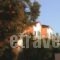 Lassia Studios_best deals_Hotel_Aegean Islands_Lesvos_Petra