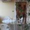 Niki Apartments_best deals_Apartment_Thessaly_Magnesia_Pilio Area