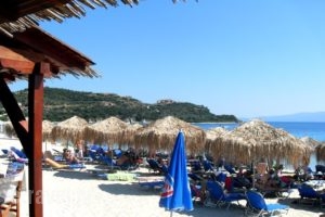 Alikes_best prices_in_Room_Macedonia_Halkidiki_Chalkidiki Area