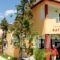 Hotel Odyssion_best prices_in_Hotel_Ionian Islands_Lefkada_Vasiliki