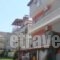 Ifigenia_holidays_in_Apartment_Macedonia_Pieria_Paralia Katerinis