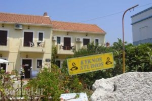 Kyknos_accommodation_in_Apartment_Ionian Islands_Kefalonia_Argostoli