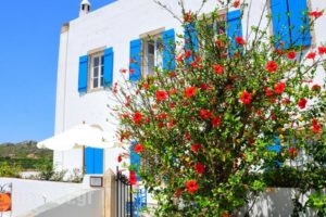 Margarita Hotel_holidays_in_Hotel_Piraeus islands - Trizonia_Kithira_Kithira Chora