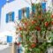 Margarita Hotel_holidays_in_Hotel_Piraeus islands - Trizonia_Kithira_Kithira Chora