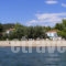 Villa Asterianna_holidays_in_Villa_Macedonia_Halkidiki_Poligyros