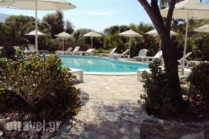 Onira Studios_accommodation_in_Room_Cyclades Islands_Paros_Paros Chora