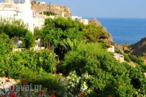 Margarita Hotel_best prices_in_Hotel_Piraeus islands - Trizonia_Kithira_Kithira Chora