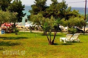 Bambola_holidays_in_Room_Macedonia_Halkidiki_Nea Moudania