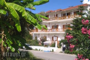 Kostas Studios_accommodation_in_Room_Ionian Islands_Lefkada_Vasiliki