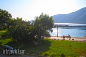 Kostas Studios_lowest prices_in_Room_Ionian Islands_Lefkada_Vasiliki