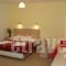 Jason Studios & Apartments_best deals_Apartment_Cyclades Islands_Naxos_Naxos Chora