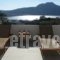 Olive Grove_accommodation_in_Hotel_Crete_Rethymnon_Plakias