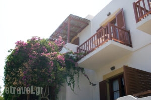 Manto_lowest prices_in_Hotel_Cyclades Islands_Paros_Naousa