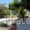 Villa Sylvia_lowest prices_in_Villa_Crete_Heraklion_Matala