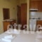 Katerina Studios_best deals_Room_Aegean Islands_Thasos_Limenaria