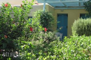 Surfing Beach Village Paros_accommodation_in_Hotel_Cyclades Islands_Paros_Paros Chora