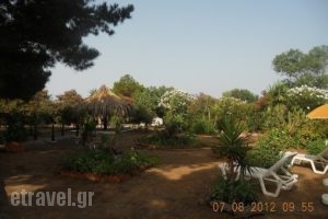 Villa Tatiana_best deals_Villa_Ionian Islands_Corfu_Corfu Rest Areas