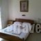 Pension Olympus_best deals_Room_Macedonia_Pieria_Litochoro