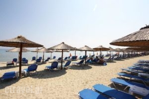 Hotel Rigakis_travel_packages_in_Macedonia_Halkidiki_Kassandreia