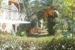 Studios Dimitris_travel_packages_in_Sporades Islands_Skiathos_Skiathoshora