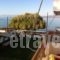 Chris Studios & Apartments_holidays_in_Apartment_Peloponesse_Korinthia_Lechaio