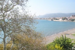 Pension Afroditi_accommodation_in_Room_Central Greece_Aetoloakarnania_Nafpaktos