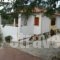 Hotel Heleni Apartments_best deals_Apartment_Peloponesse_Argolida_Archea (Palea) Epidavros