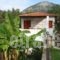 Hotel Heleni Apartments_best prices_in_Apartment_Peloponesse_Argolida_Archea (Palea) Epidavros