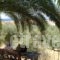 Stella Rooms_best deals_Room_Thessaly_Magnesia_Pilio Area