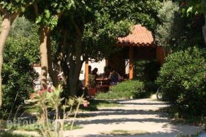 Youth Hostel Plakias_travel_packages_in_Crete_Rethymnon_Plakias