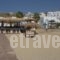 Hotel Anna_best prices_in_Hotel_Cyclades Islands_Mykonos_Platys Gialos