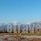 Summit Zero_travel_packages_in_Macedonia_Pieria_Litochoro