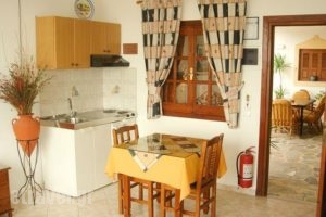 Olympos Studios_holidays_in_Hotel_Dodekanessos Islands_Leros_Laki