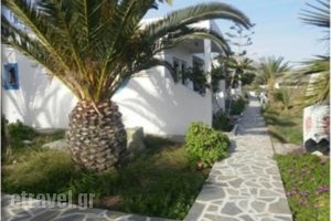 Princess Studios_travel_packages_in_Dodekanessos Islands_Karpathos_Karpathos Chora