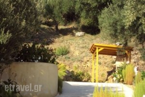 Anna Studios_best prices_in_Apartment_Ionian Islands_Kefalonia_Lourdata