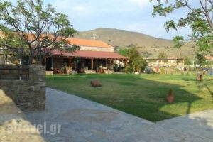 Villa Victoria_lowest prices_in_Villa_Aegean Islands_Limnos_Myrina