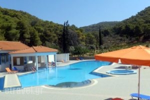 Vassilis Studios_holidays_in_Hotel_Piraeus islands - Trizonia_Trizonia_Trizonia Rest Areas