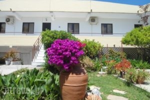 Evi Apartments And Studios_travel_packages_in_Dodekanessos Islands_Rhodes_Theologos