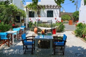 Eleni Rooms_best prices_in_Hotel_Cyclades Islands_Paros_Paros Chora