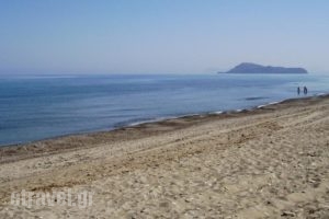 Summer Lodge_accommodation_in_Hotel_Crete_Chania_Platanias