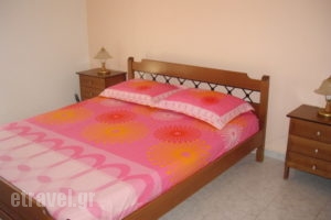 Christos Studios_accommodation_in_Room_Ionian Islands_Kefalonia_Kefalonia'st Areas