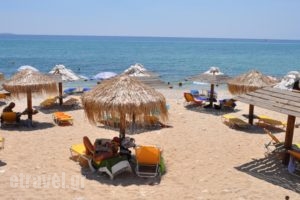 Konstantinos Beach 2_holidays_in_Hotel_Aegean Islands_Thasos_Thasos Chora