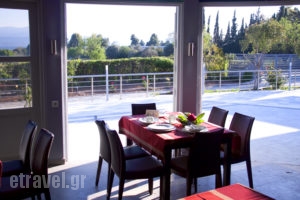 El Greco Eretria_holidays_in_Hotel_Central Greece_Evia_Eretria